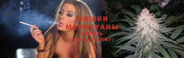 индика Мегион