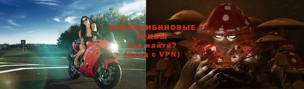 СК Няндома