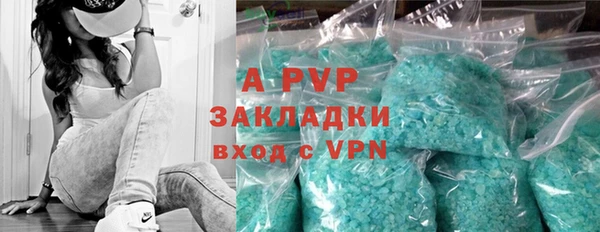 apvp Верея