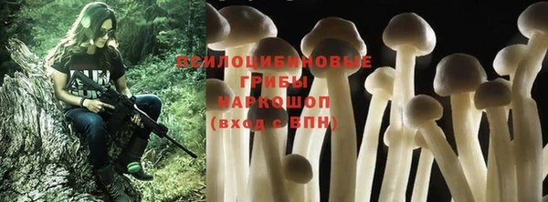 круглые Нягань