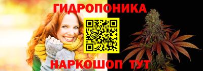 ешки Волгодонск