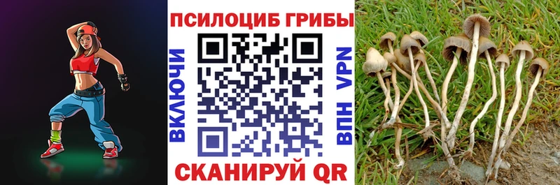 OMG tor  Зеленодольск  Галлюциногенные грибы прущие грибы 