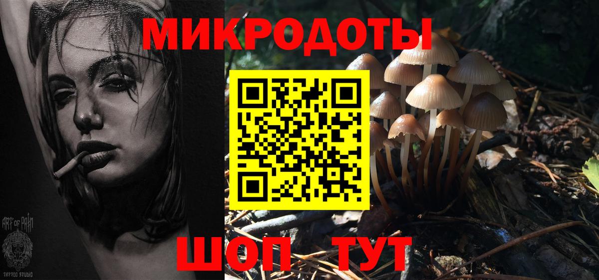 Зеленодольск  как найти закладки  Вход с VPN  Псилоцибиновые грибы Cubensis  Псилоцибиновые грибы мицелий 