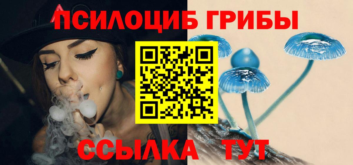 Псилоцибиновые грибы Psilocybe Зеленодольск